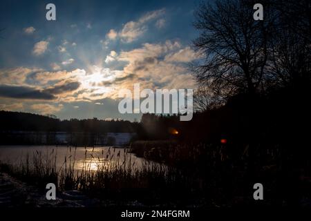 Roseaux et lac au coucher du soleil par une froide journée d'hiver, Waldviertel/ Autriche Banque D'Images