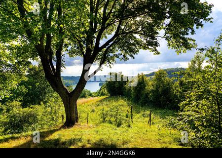 Vue panoramique sur le lac Jezioro Ostrzyckie avec rives de forêt vues depuis le mont Jastrzebia Gora Hawk dans le village Ostrzyce de Kashubia dans la Pomerania r Banque D'Images