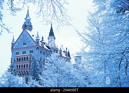 Allemagne. Bavière. Château de Neuschwanstein dans la neige. Banque D'Images