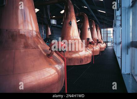 Écosse. Distillateurs de whisky de cuivre dans une distillerie. Banque D'Images