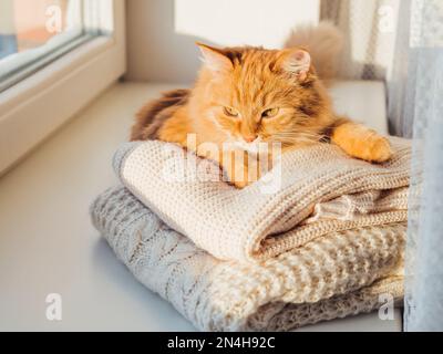 Le joli chat au gingembre repose sur un tas de chandails en maille torsadée. Coucher de soleil en hiver. Animal doux sur le rebord de la fenêtre avec des vêtements chauds. Banque D'Images