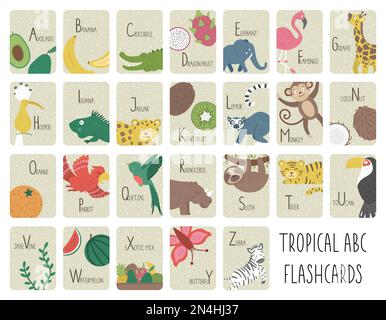 Cartes à alphabet tropical pour enfants. Ensemble mignon de dessin animé ABC avec des animaux exotiques, des oiseaux, des fruits, des insectes. Cartes de la jungle drôle pour l'enseignement de la lecture o Illustration de Vecteur