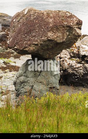 Champignon, Crogga, Loch Spelve, Mull, Écosse Banque D'Images