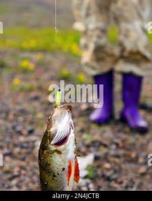 Une grosse basse attrapée par un pêcheur pend sur une leurre en caoutchouc avec un poids, une corde de laisse en métal et une corde contre le fond des pieds d'une fille dans le coffre Banque D'Images