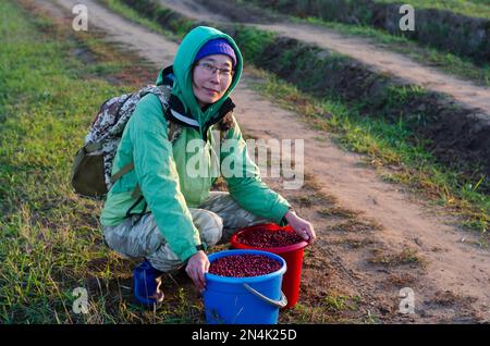 Yakut Asian touriste fille avec sac à dos, lunettes et chapeau avec cagoule se trouve près de la route avec deux seaux pleins de canneberges sauvages recueillies dans le Nord. Banque D'Images