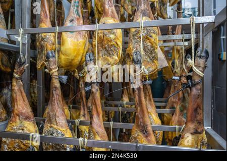 Production de jambon ibérique (jambon fumé), Puerto Gil, Espagne Banque D'Images