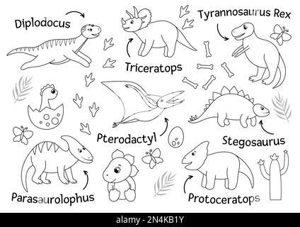 Ensemble vectoriel de dinosaures mignons avec des noms isolés sur fond blanc. Personnages dino plats amusants. Illustration de reptiles préhistoriques mignons Illustration de Vecteur