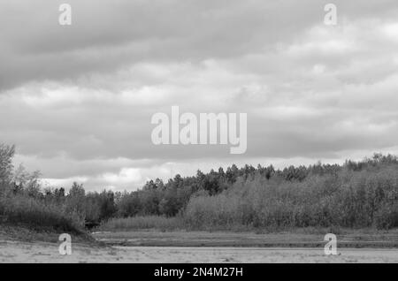 Photo en noir et blanc des sommets des arbres et des buissons à l'ombre pendant la journée sous les nuages près d'une petite rivière dans la toundra du nord de Yakuti Banque D'Images