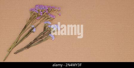 Composition des fleurs. Motif de fleurs séchées sur fond de papier. Plan d'agencement, vue de dessus Banque D'Images