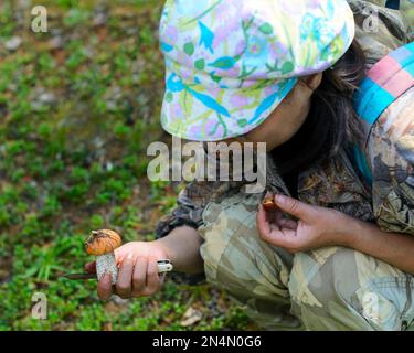 Une jeune collectionneur asiatique de champignons à Yakutia avec un couteau dans ses chèques de main a trouvé un champignon dans la forêt contre l'herbe. Banque D'Images