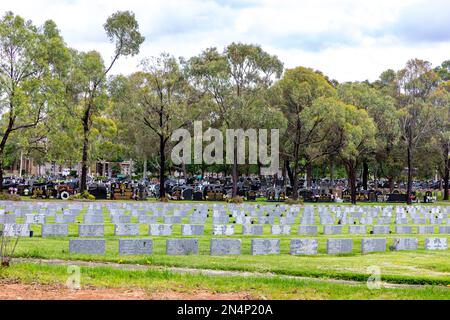 Cimetière Rookwood à Strathfield Sydney Australie, le plus ancien et le plus grand cimetière d'Australie avec des sections pour différentes confessions et nationalités Banque D'Images