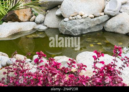 Magnifique jardin avec pierres et lac. Banque D'Images