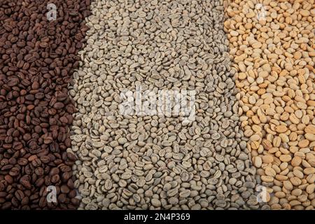 Collage de grains de café montrant différentes étapes de torréfaction italienne avec des grains crus. STEP and Circle of Coffee Bean, Mixed café Beans robusta et arabe Banque D'Images