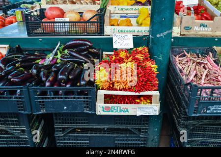 Légumes cultivés sur l'île de Sant'Erarmo et proposés à la vente au marché du Rialto, sestière de San Polo, Venise, Vénétie, Italie Banque D'Images