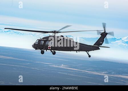 Les soldats et les aviateurs de la Garde nationale de l'Idaho, ainsi que leurs homologues actifs, ont joint leurs forces à une seule équipe et à une mentalité de combat pour un entraînement conjoint lors d'un exercice de victimes de masse le 4 février 2023, près de Gowen Field, Boise, Idaho. Le personnel médical du groupe médical 124th de Gowen Field et le personnel médical en service actif du groupe médical 366th de la base aérienne de Mountain Home se sont associés à plusieurs événements de victimes de masse, Ce qui comprenait également l’utilisation de soldats médevac et d’hélicoptères UH-60 Black Hawk de la Garde nationale de l’Armée de l’Idaho, 1st du 168th Aviation Regiment, pour participer à la TH Banque D'Images