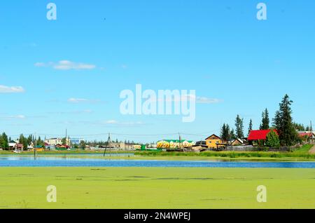 Journée lumineuse dans le village de l'ulus suntar à Yakutia sur un étang surcultivé avec des maisons anciennes et nouvelles et des fils à travers l'eau. Banque D'Images