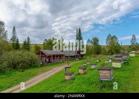 Apiary dans les montagnes de l'Altaï avec des maisons pour les abeilles jour lumineux sous les nuages. Banque D'Images