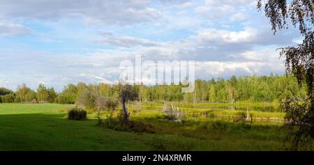 Une botte de foin derrière la clôture se trouve au bord du champ à l'ombre près du lac et du marais contre la taïga sauvage du nord de Yakutia. Banque D'Images