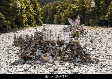 Un vieux tronc d'arbre tombé recouvert de pierre artificielle cairns à Fantail Falls en Nouvelle-Zélande entouré de forêt tropicale Banque D'Images