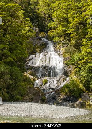 Fantail Falls, une chute d'eau en cascade à travers la forêt tropicale dense près de l'autoroute 6 sur l'île du Sud de la Nouvelle-Zélande Banque D'Images