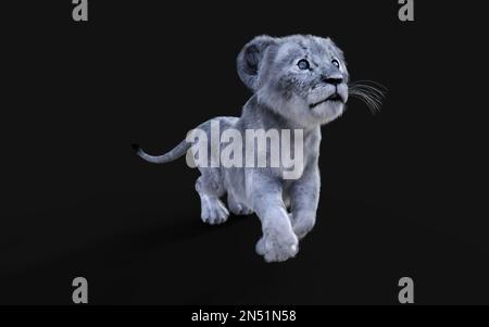 3D Illustration Portrait de la Cube blanche de petit Lion isolée sur fond sombre. Banque D'Images