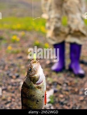 Une grosse basse attrapée par un pêcheur pend sur une leurre en caoutchouc avec un poids, une corde de laisse en métal et une corde sur le fond des pieds d'une fille dans des bottes. Banque D'Images