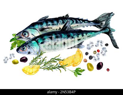 Composition du maquereau et illustration de l'aquarelle des épices isolées sur le blanc. Poisson de mer frais, citron, romarin, épices dessinées à la main. Elément de conception pour pa Banque D'Images