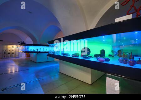 Boîtier incurvé rempli d'objets plastiques intéressants de valeur historique. Au Plart, Musée d'histoire des plastiques à Naples, Naples, Italie, Italie. Banque D'Images