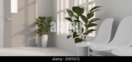 Image en gros plan d'un siège d'attente blanc et de plantes d'intérieur dans la salle d'attente moderne blanche de l'hôpital. salle d'attente de la clinique ou du centre de soins de santé. rendu 3d, Banque D'Images