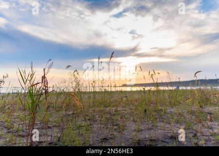 Coucher de soleil lumineux sur la mer sur le fond de l'herbe poussant sur la plage de sable en été. Banque D'Images