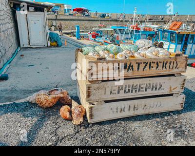 Boîte de coquillages à vendre dans le port de la ville crétoise d'Héraklion. Banque D'Images