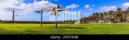 Île de Fuerteventura. Canaries. Parc de Morro Jable avec statue de squelette naturel de baleine dans la partie sud de l'île Banque D'Images