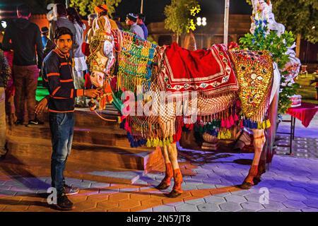 Cérémonies séparées de mariée et de marié, mariage somptueux au Rajasthan, Jaipur, Rajasthan, Inde Banque D'Images