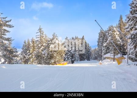 Bansko, Bulgarie, pins enneigés le long de la route de ski et du pont en hiver Banque D'Images