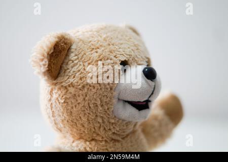 Ours en peluche gros plan sur fond blanc Banque D'Images