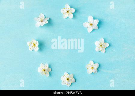 Cadre ou cercle fait de fleurs de cerisier blanc sur fond bleu pastel. Printemps ou vacances. Pose à plat. Vue de dessus Banque D'Images