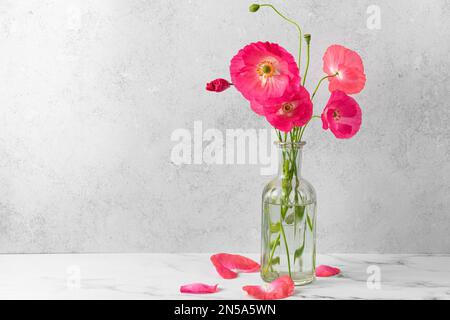 Bouquet de fleurs de pavot roses dans vase en verre sur fond gris. Carte de mariage avec espace de copie. Encore la vie. Gros plan Banque D'Images