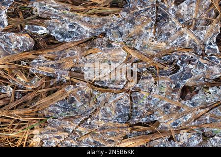 Herbe congelée dans de la glace cristalline. Gros plan. Arrière-plan, texture, motif. Modèle pour une inscription. Maquette pour le design Banque D'Images