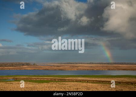 Tour d'observation de Reiddomp à l'arc-en-ciel au-dessus de Bikplaatgaat et de Sennerplaat dans le parc national de Lauwersmeer, pays-Bas, Frison, Lauwersmeer National Banque D'Images