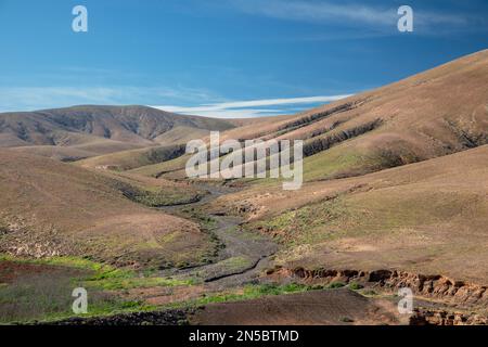 Semi-désert avec Barranco de Fuente Lopez, photo aérienne, îles Canaries, Fuerteventura, Tefia, Los Molinos Banque D'Images