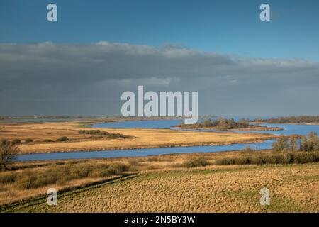 Tour d'observation de Reiddomp à Bikplaatgaat et Sennerplaat dans le parc national de Lauwersmeer, pays-Bas, Frison, parc national de Lauwersmeer, Banque D'Images