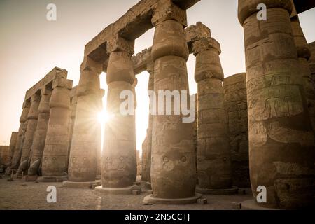 Cour de soleil Amenhotep III, le temple de Louxor, Louxor, Egypte Banque D'Images