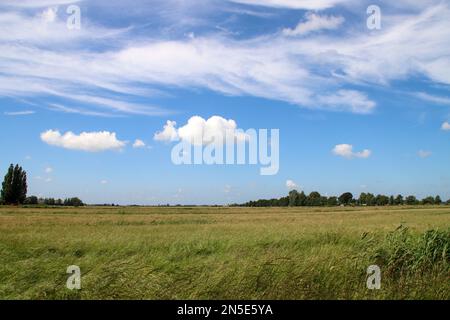 Prairies et routes dans la région de Zuidplaspolder où le nouveau village sera construit aux pays-Bas Banque D'Images