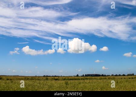 Prairies et routes dans la région de Zuidplaspolder où le nouveau village sera construit aux pays-Bas Banque D'Images