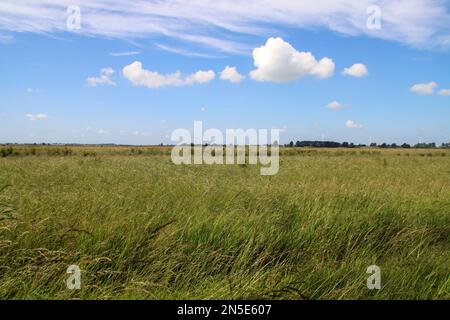 Prairies et routes dans la région de Zuidplaspolder où le nouveau village sera construit aux pays-Bas Banque D'Images