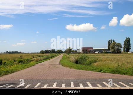 Prairies et routes dans la région de Zuidplaspolder où le nouveau village sera construit aux pays-Bas Banque D'Images