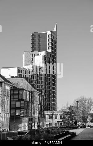 Image monochrome des tours de tour étudiantes de Beckley point vues depuis le campus de l'Université de Plymouth le long de Glanville Street. Banque D'Images