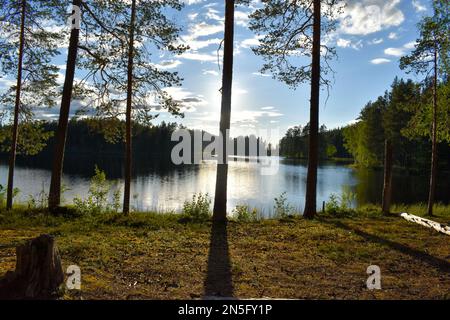 Lac forestier en Suède l'été en fin d'après-midi, après le coucher du soleil. Lac de Nydala à Umea sous un ciel bleu-rose apaisant. Image de nature relaxante. Découvrez SCA Banque D'Images