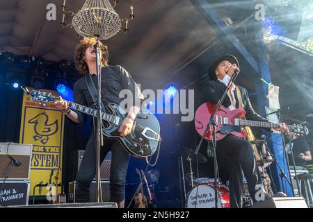 Le groupe de rock Tom Allan et le plus étrange festival spécial de Blossom d'Orange, Beverungen, Deutschland | le groupe de rock Tom Allan & The Stranest l Banque D'Images