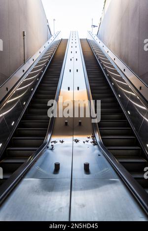 Escalier mécanique du métro, Washington D.C., États-Unis Banque D'Images